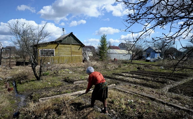 В ГД рекомендуют принять проект о "дачной амнистии" до 1 марта 2021 года
