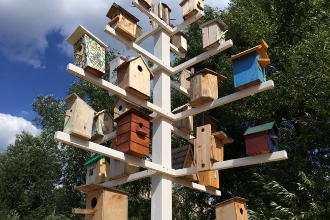 Верховный суд РФ разъяснил, какие права есть у тех, кто не желает вступать в садовое товарищество