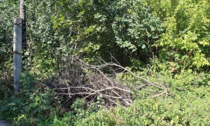 2-я улица СНТ Смородинка