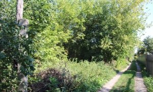 2-я улица СНТ Смородинка