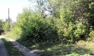 2-я улица СНТ Смородинка